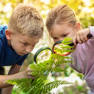 mgr Wioletta Nesteruk